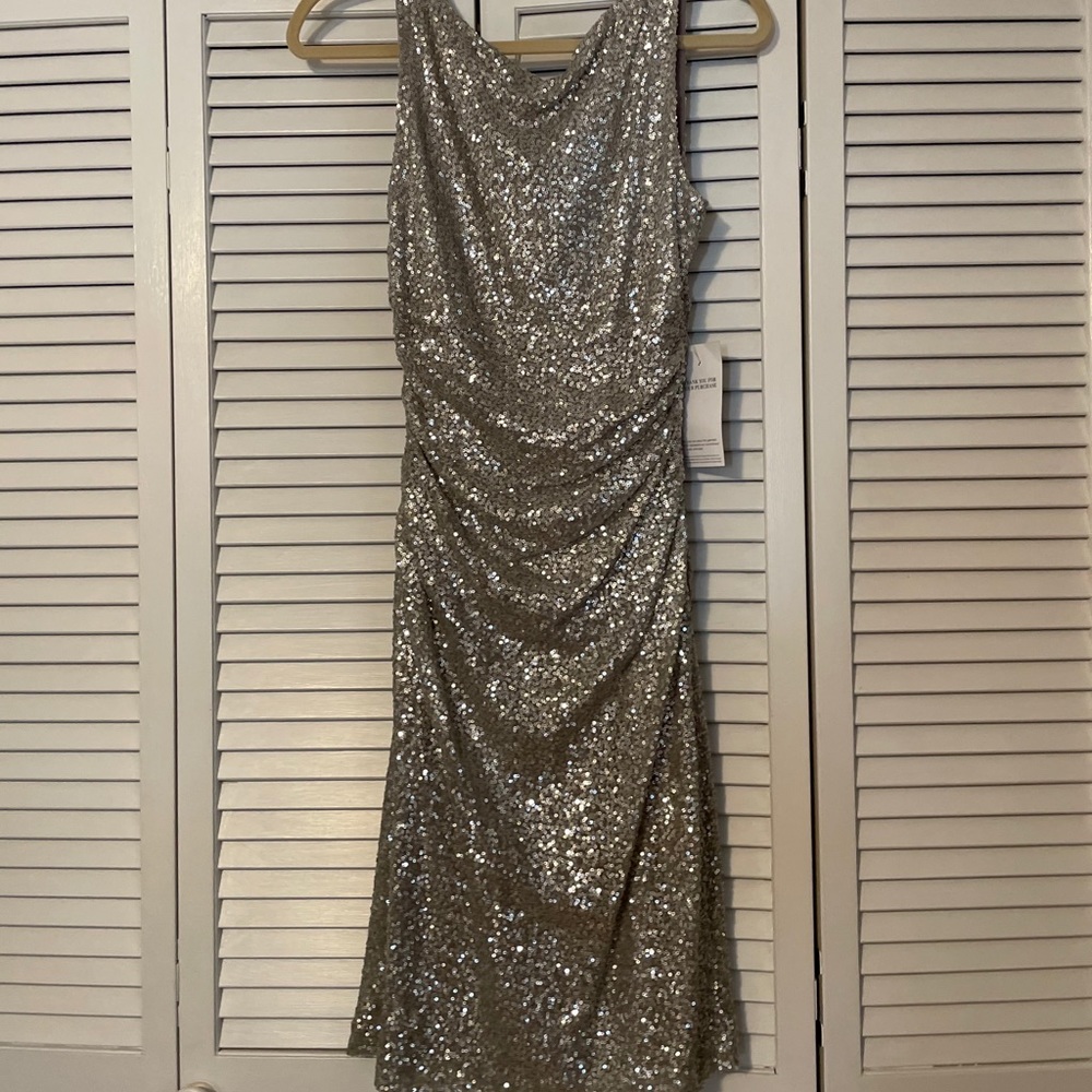 Ralph Lauren silver sequin dress new with tags